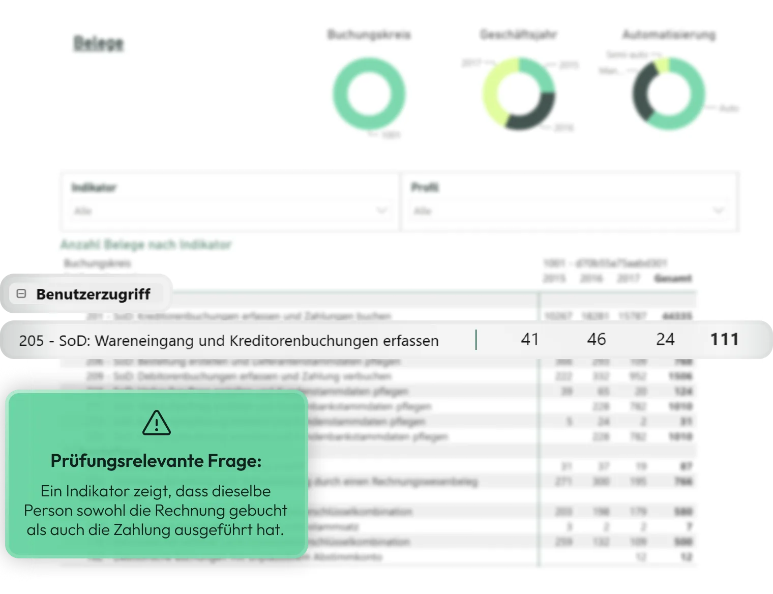 Analyse von User Access und Segregation of Duties